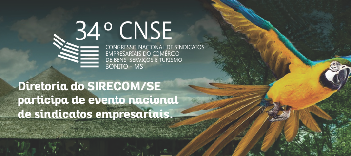 Diretoria do SIRECOM/SE participa de evento nacional de sindicatos empresariais